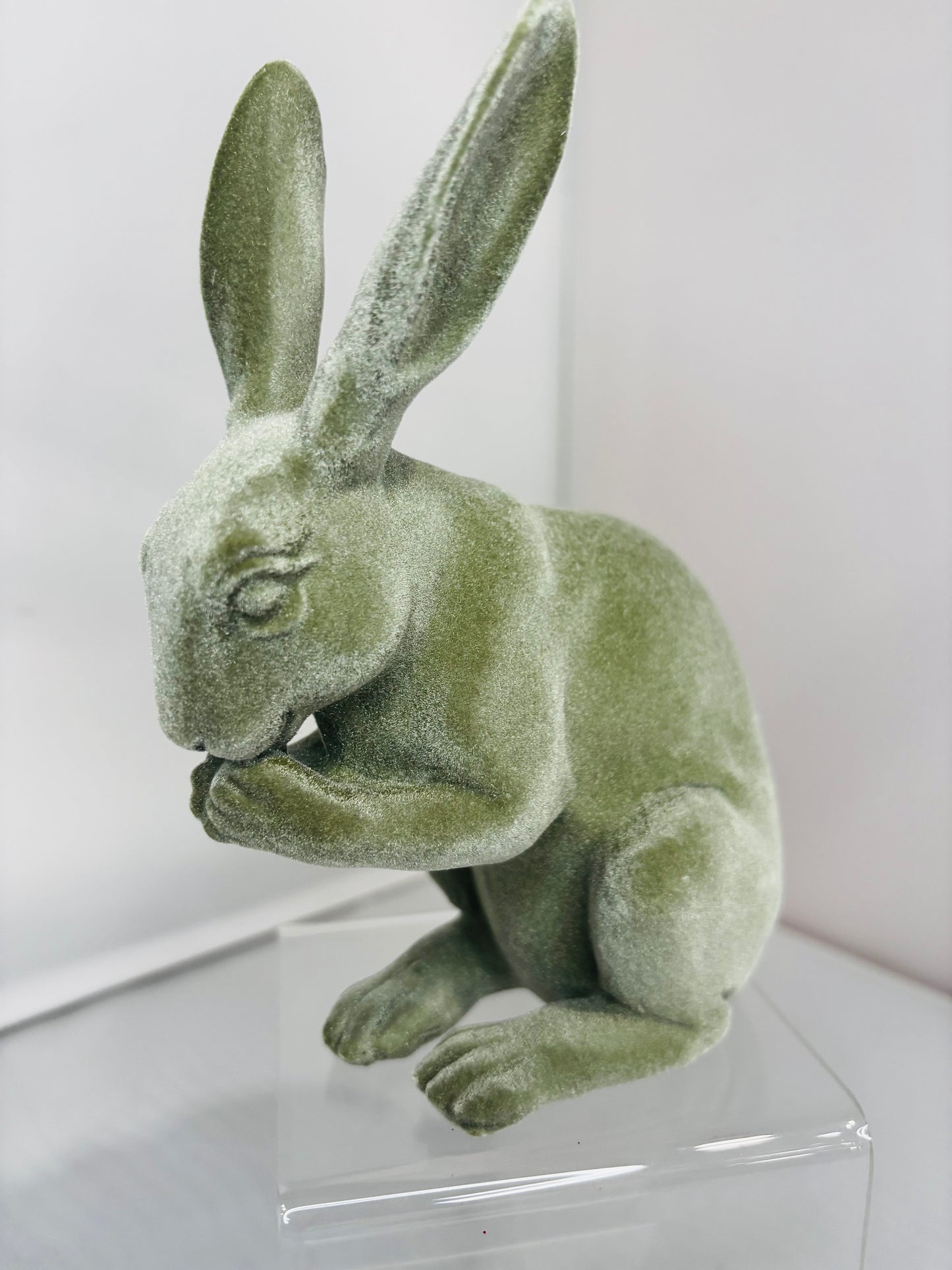 Velvet set of bunnies