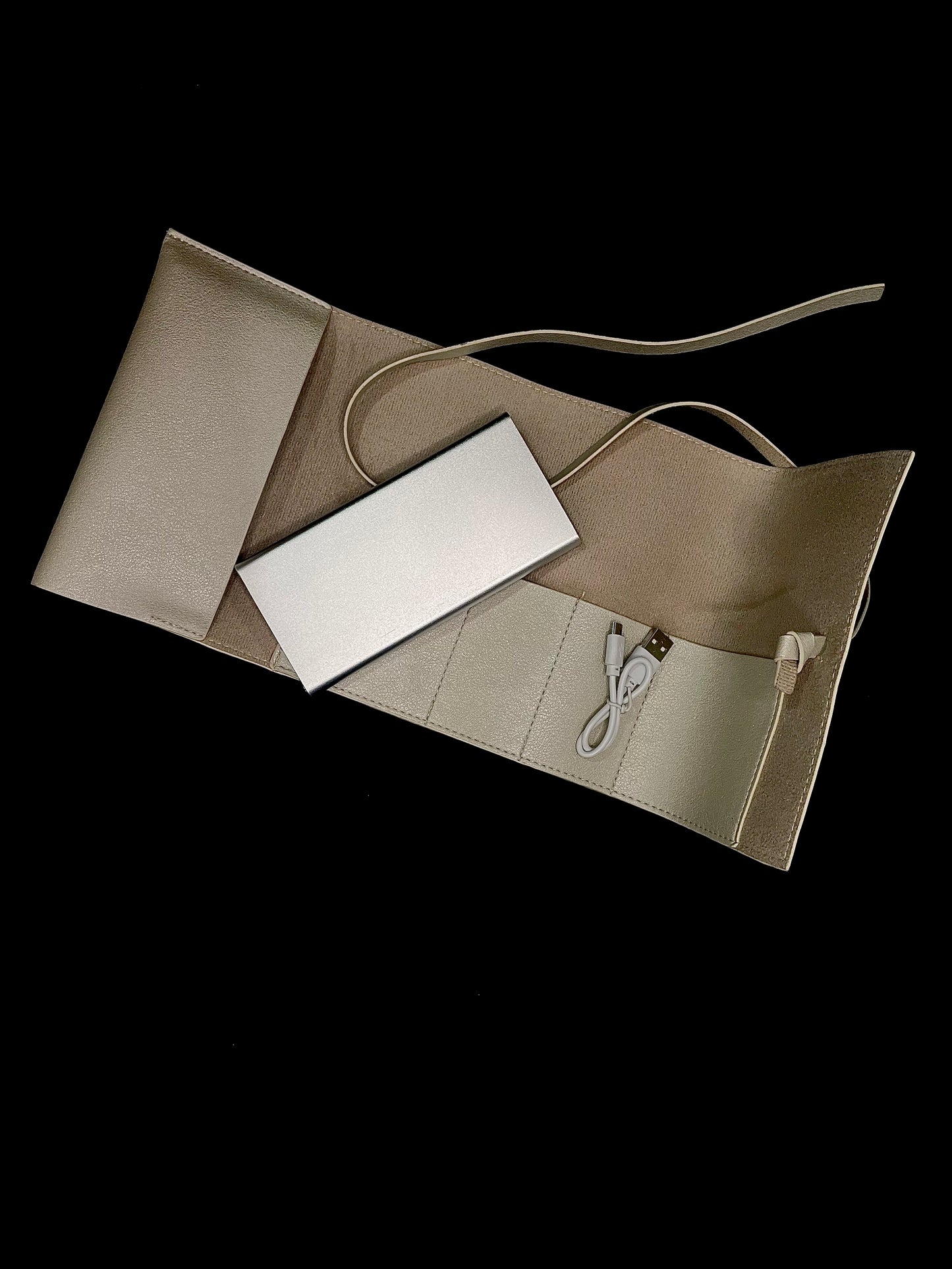 Portable Battery Bank & Travel Case