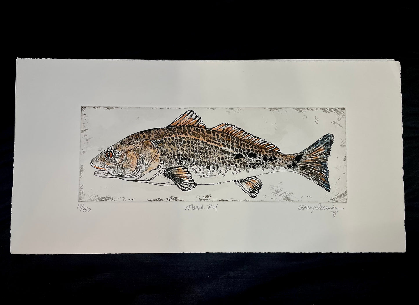 “Marsh Red” 20x10