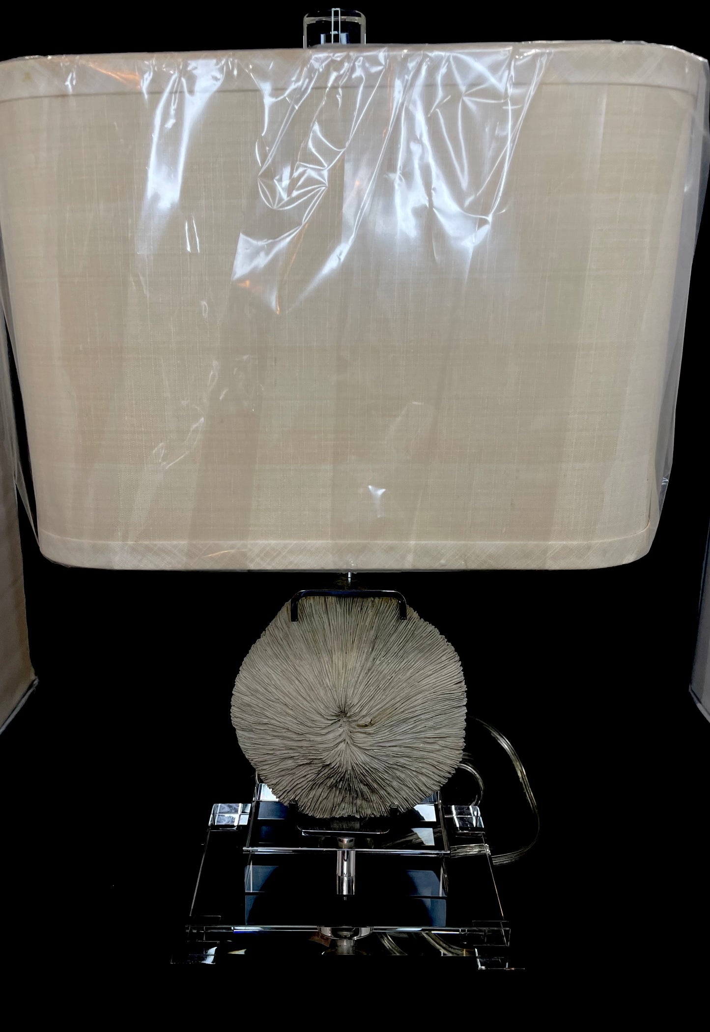 Shell Lamp - in store pick up only