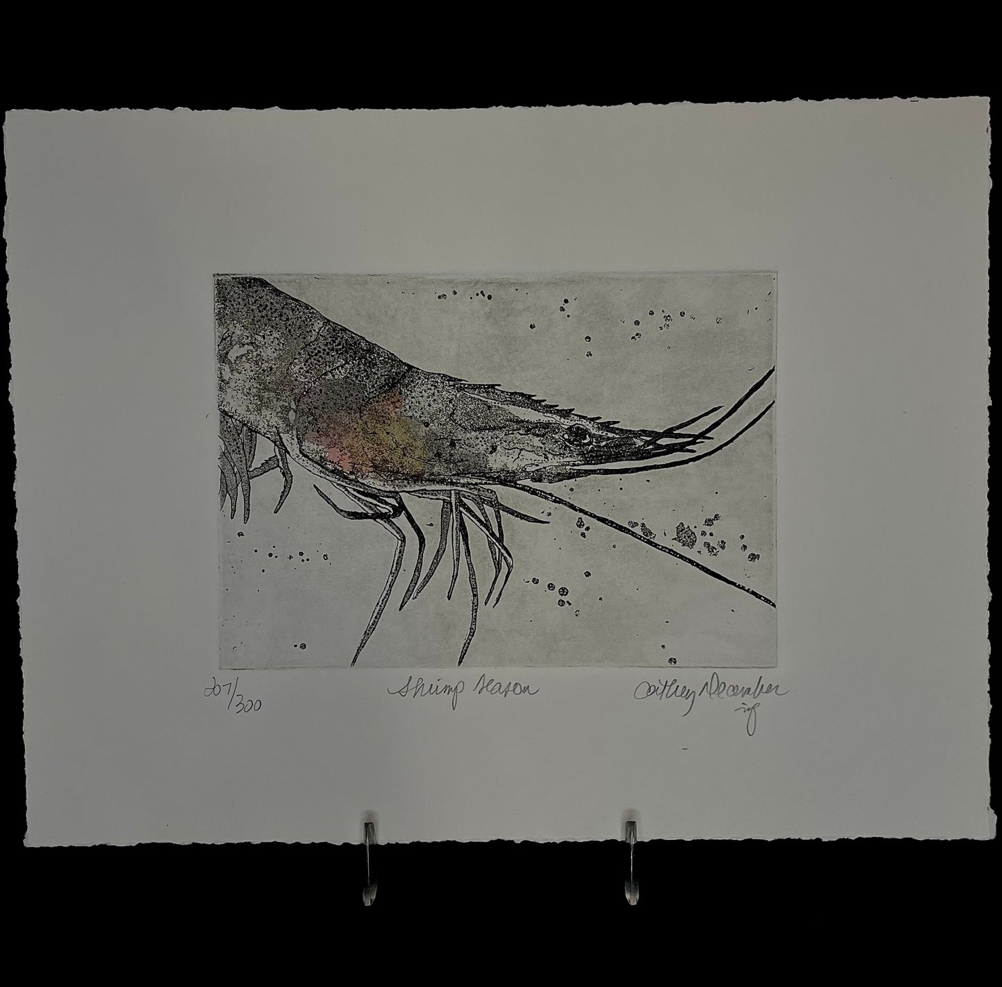 “Shrimp Season” 9x12