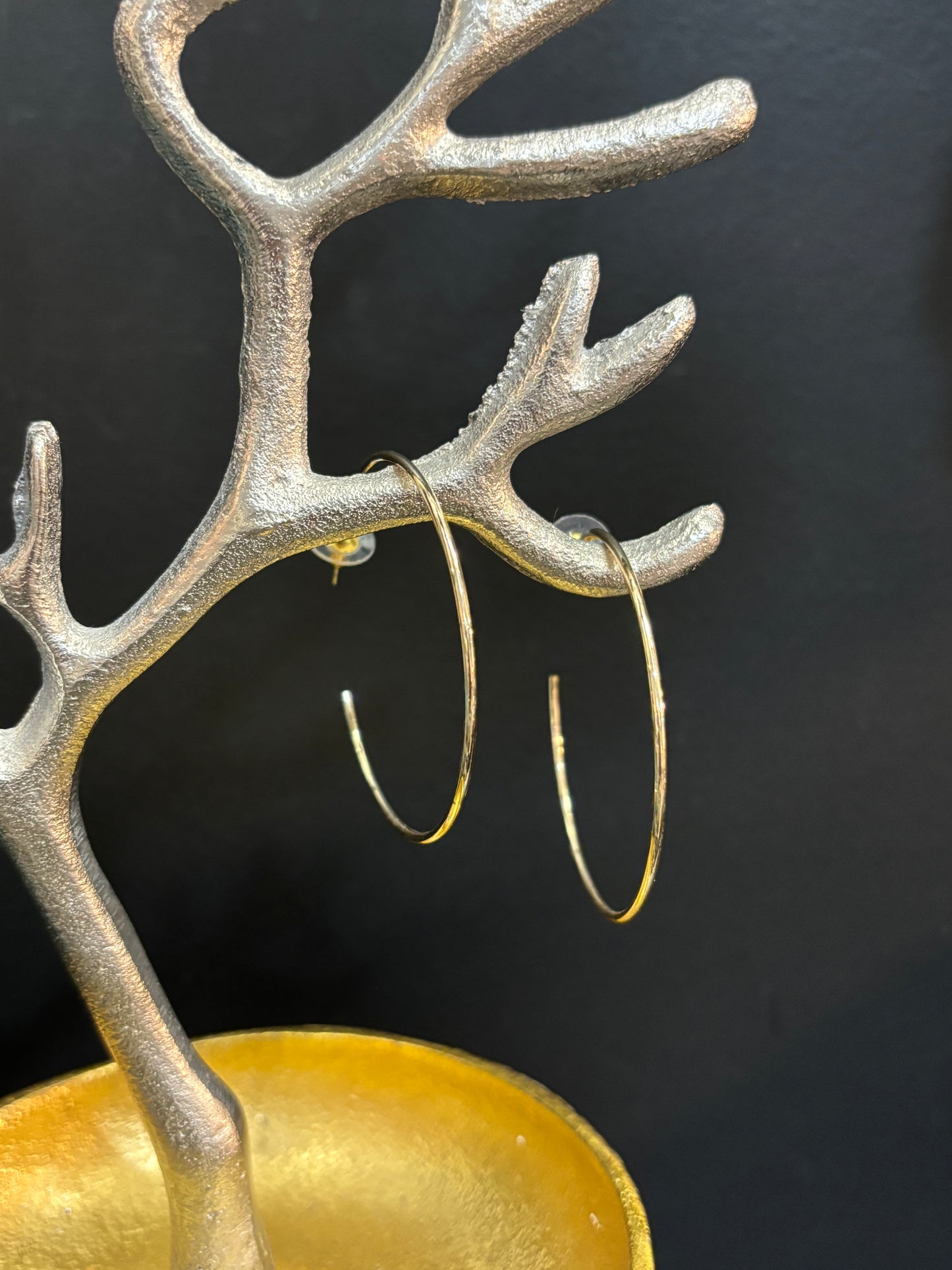 Gold Hoop Earrings