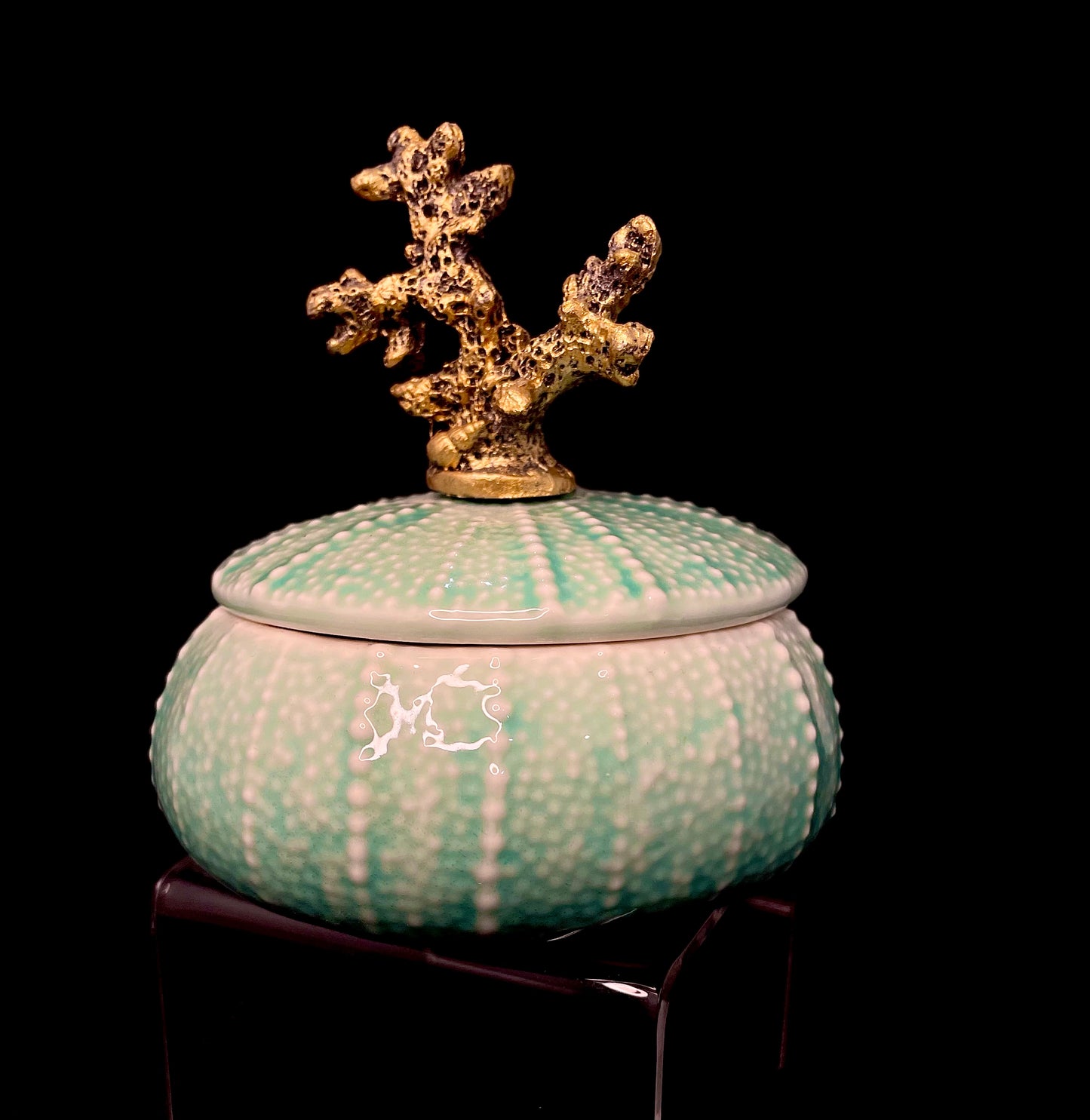 Small Teal Coral Canister