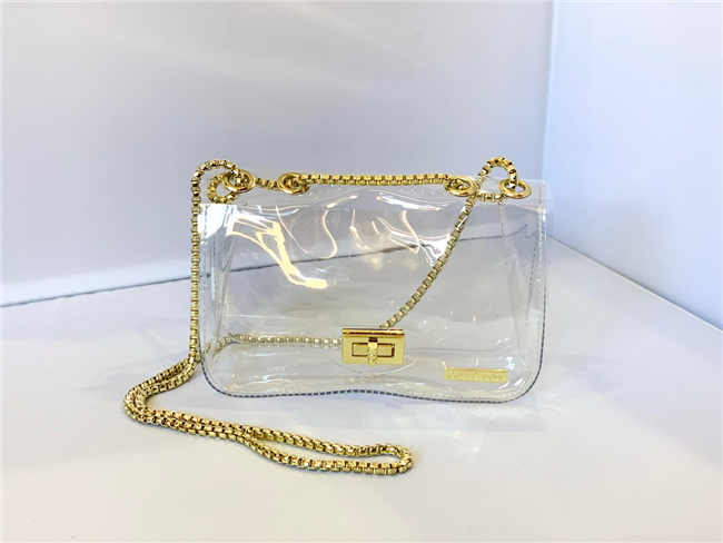 Clear Stadium Bag with Gold Chain Strap