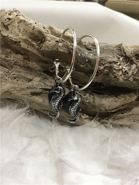 Silver Hoop Earrings